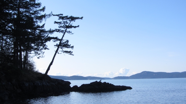 Peace in Washington Park